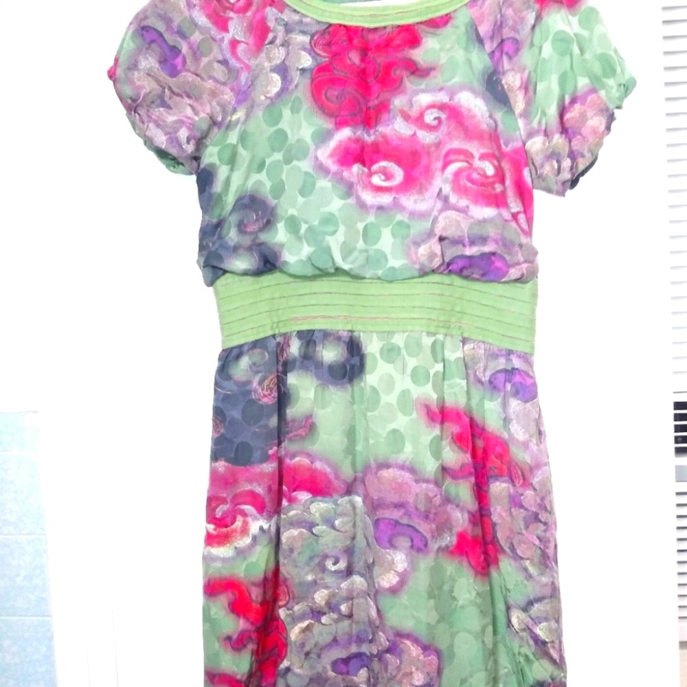 Amy tan silk dress size6